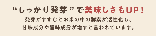 しっかり発芽で美味しさもUP！