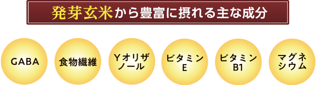 発芽玄米から豊富に摂れる主な成分