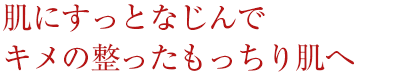 肌にすっとなじんでキメの整ったもっちり肌へ