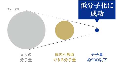 低分子化に成功