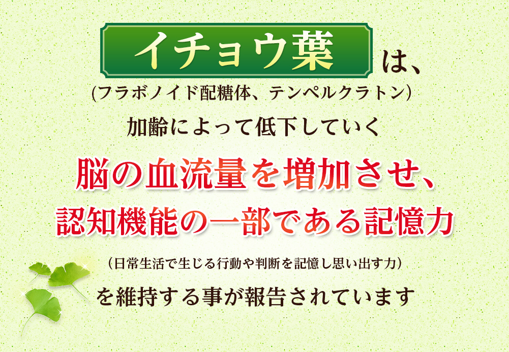 加齢によって低下していく脳の血流量を増価させ、認知機能の一部である記憶力の維持が報告されています