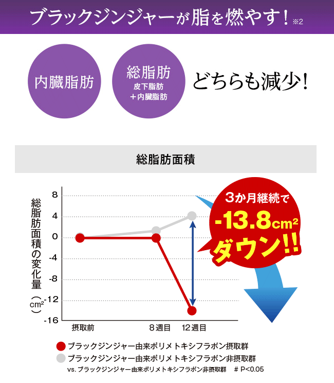 ブラックジンジャーが脂を燃やす！