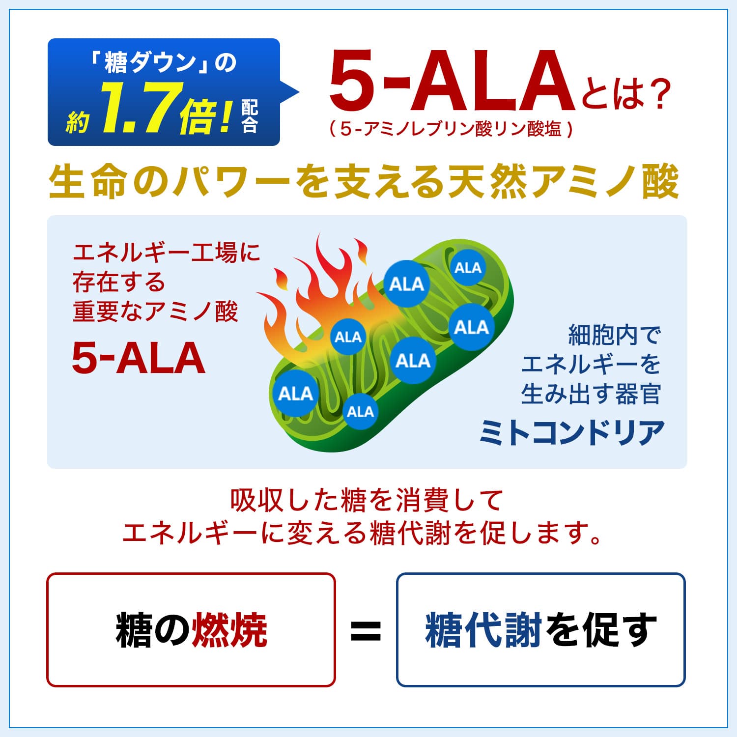 商品詳細ページ