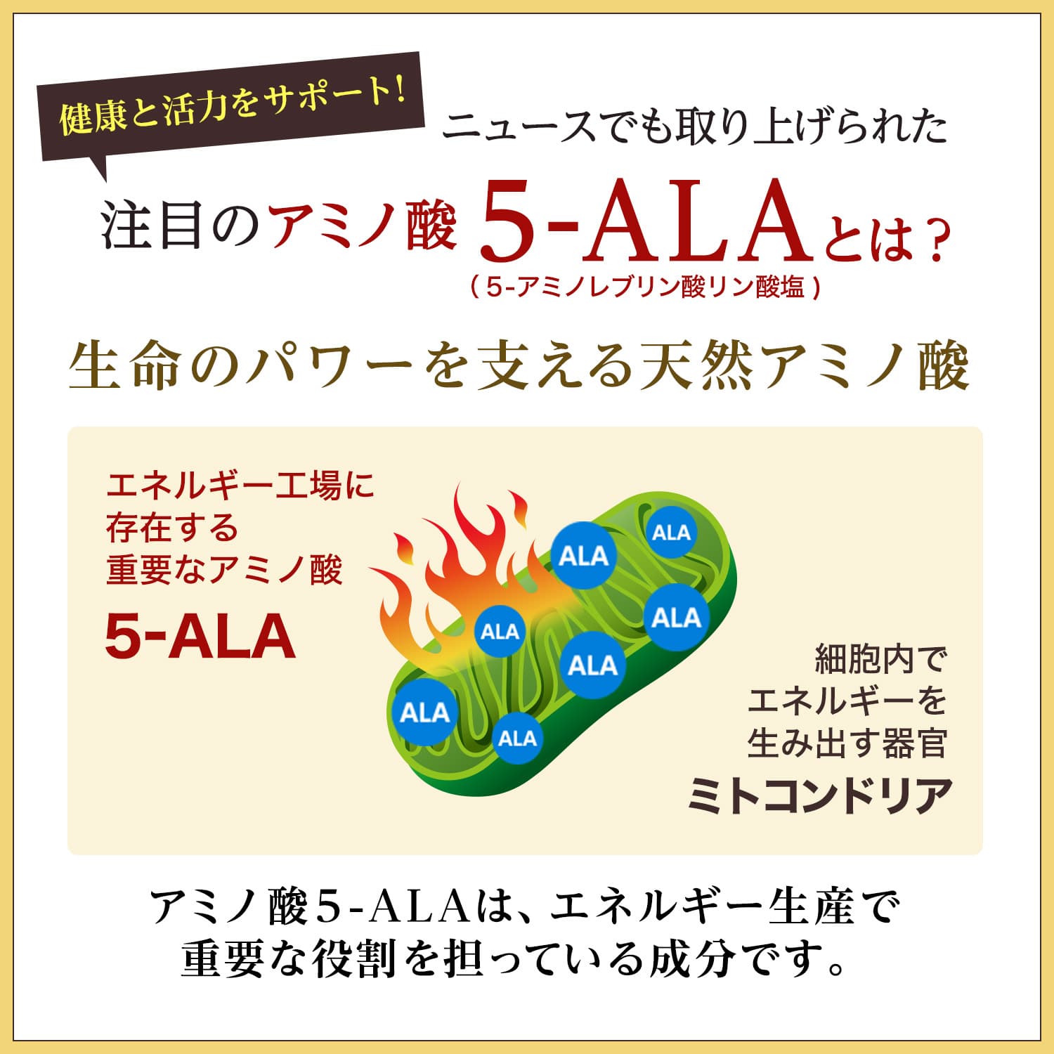 商品詳細ページ