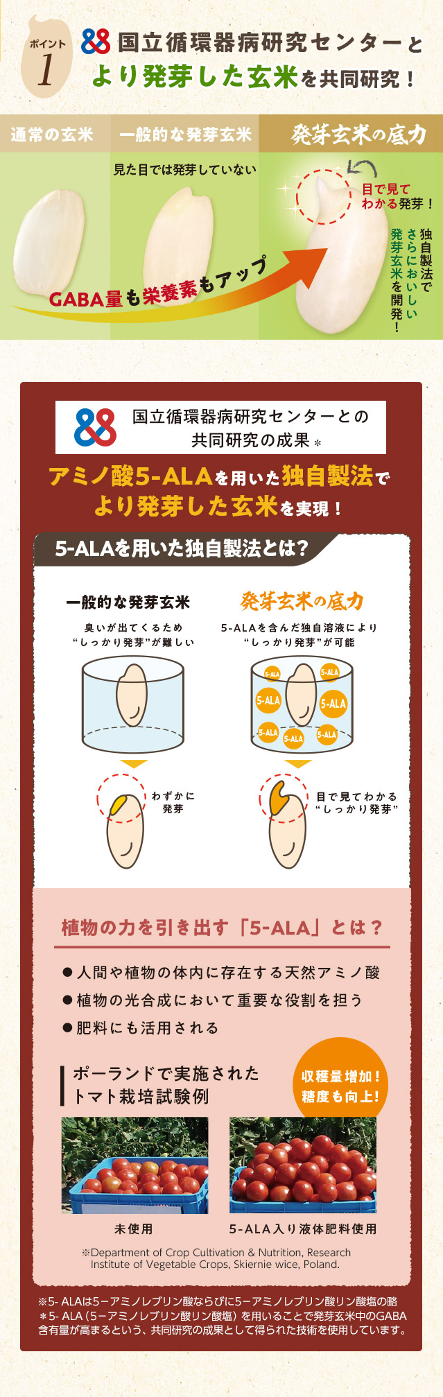 発芽玄米の底力