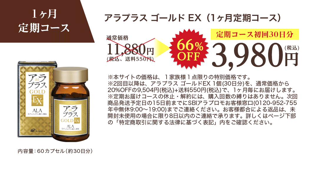 1ヶ月定期コース
