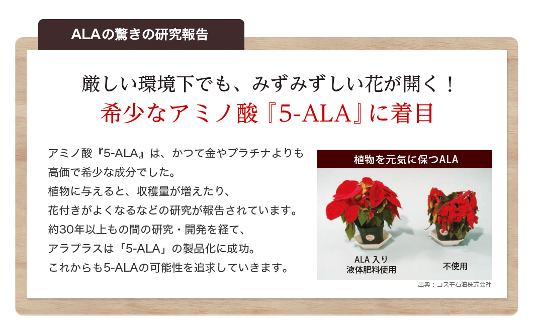 希少なアミノ酸「5-ALA」に着目