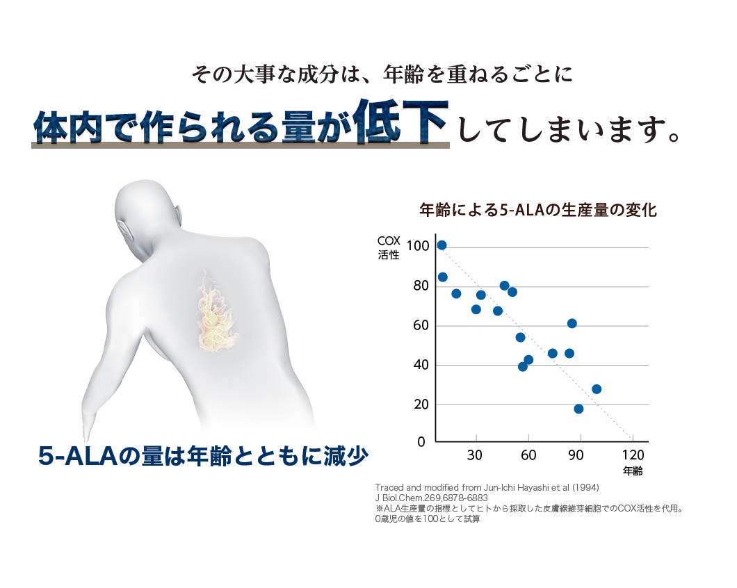 その大事な成分は、年齢を重ねるごとに体内で作られる量が低下してしまいます。