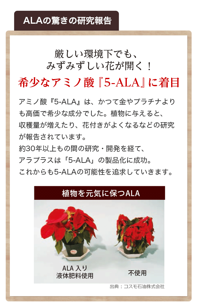 希少なアミノ酸「5-ALA」に着目