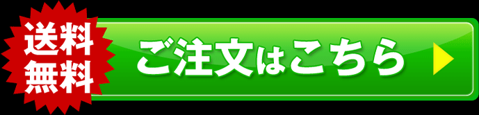 送料無料！ご注文はこちら