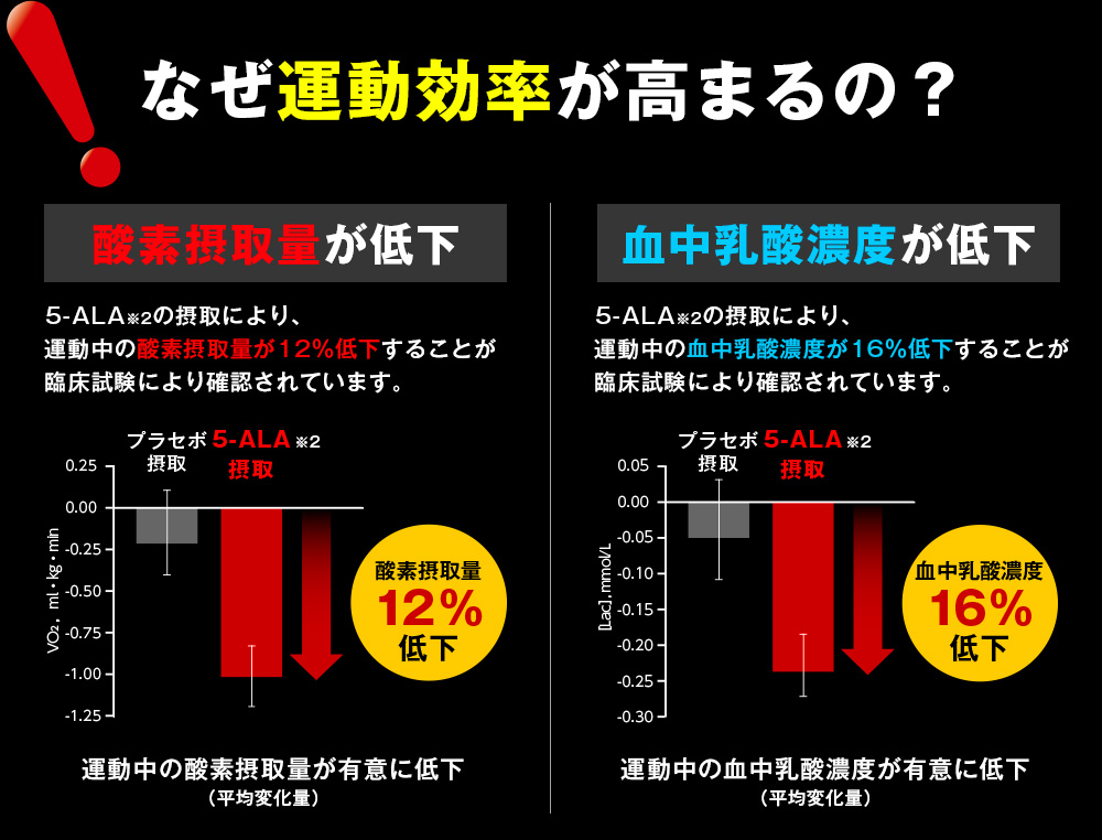 なぜ運動効率が高まるの？