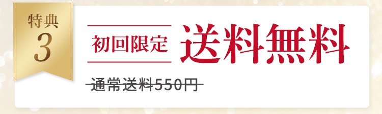 特典3 初回限定 送料無料 通常送料550円