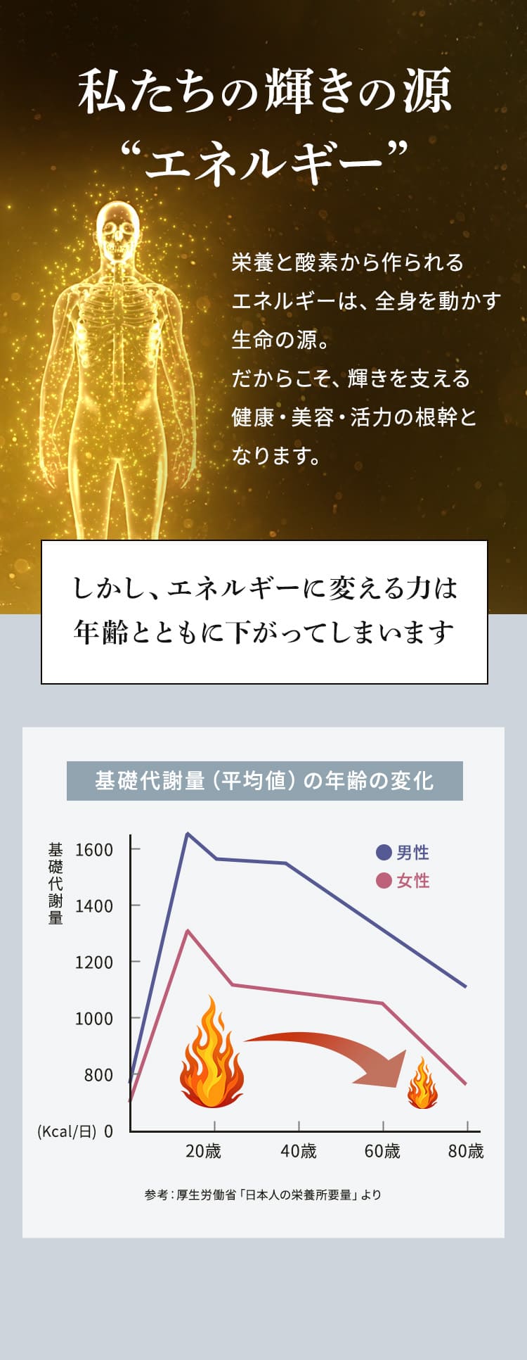 私たちの輝きの源 “エネルギー” 栄養と酸素から作られるエネルギーは、全身を動かす生命の源。だからこそ、輝きを支える健康・美容・活力の根幹となります。 しかし、エネルギーに変える力は年齢とともに下がってしまいます