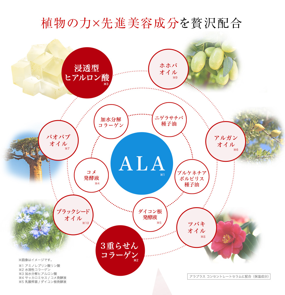 植物の力×先進美容成分を贅沢配合