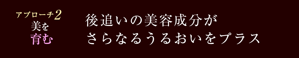 後追いの美容成分がさらなるうるおいをプラス
