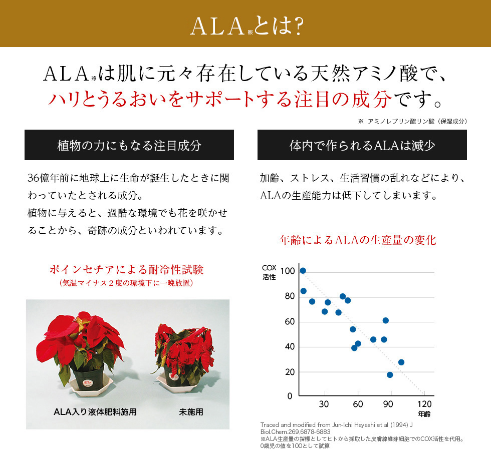 アミノ酸ALAとは？ALAは肌に元々存在している天然アミノ酸で、ハリとうるおいをサポートする注目の成分です。
