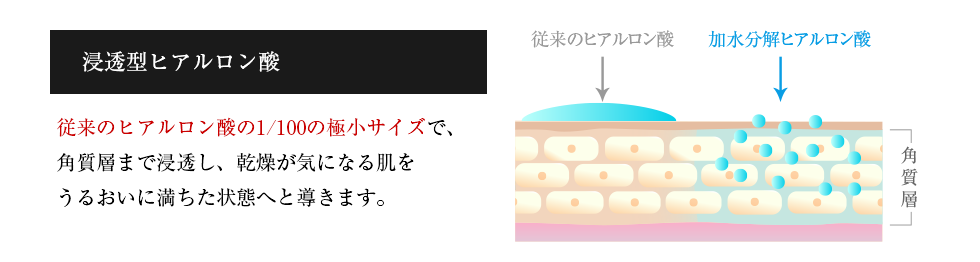 浸透型ヒアルロン酸