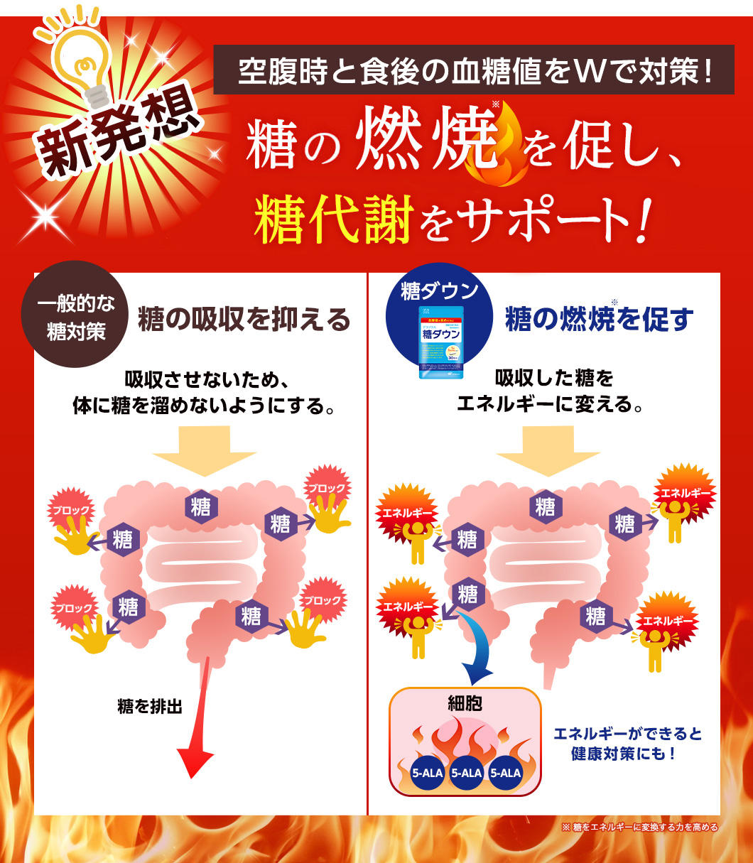 空腹時と食後の血糖値をWで対策！糖を燃焼を促し、健康な糖代謝を回復!