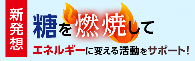 糖を燃焼してエネルギーに変える活動をサポート