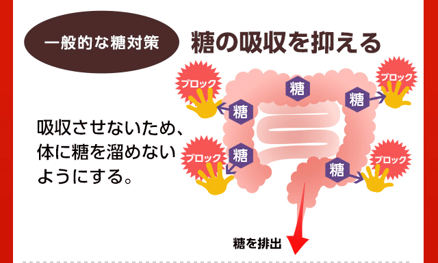 一般的な糖対策：糖の吸収を抑える
