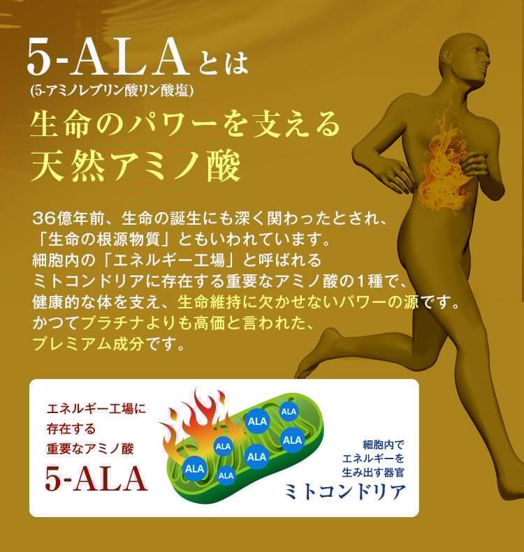 5-ALAとは生命のパワーを支える天然アミノ酸