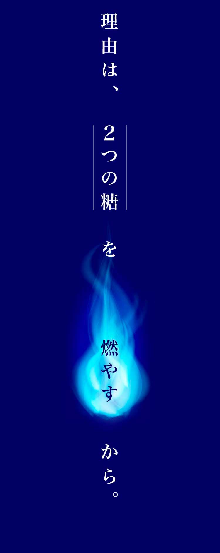 理由は、2つの糖を燃やすから
