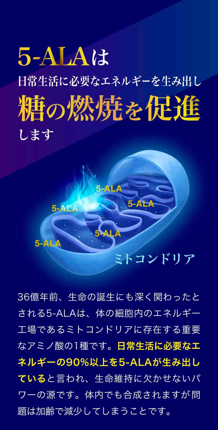 5-ALAは日常生活に必要なエネルギーを生み出し、糖の燃焼を促進します