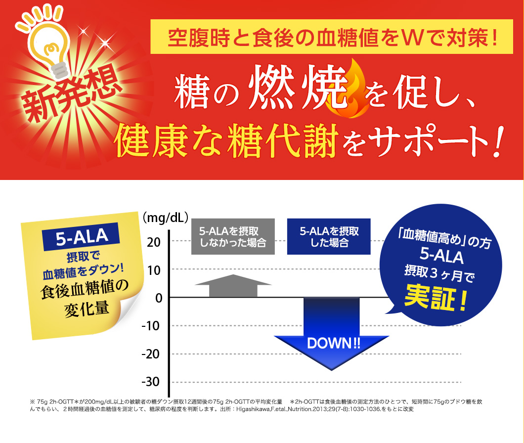 糖の燃焼を促し、健康な糖代謝をサポート