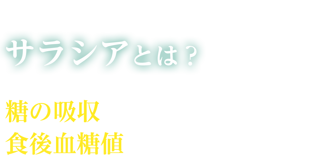 サラシアとは？