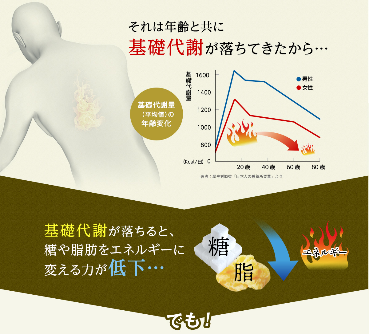 それは年齢と共に基礎代謝が落ちてきたから…基礎代謝とは、糖や脂肪を消費しエネルギーに変える力