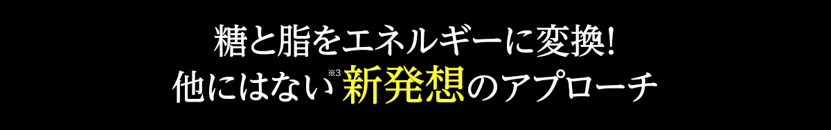 糖と脂をエネルギーに変換！他にはない新発想のアプローチ