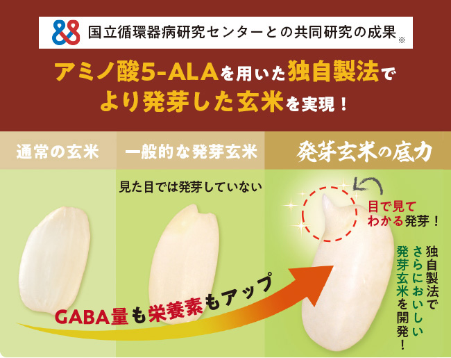 アミノ酸5-ALAを用いた独自製法でより発芽した玄米を実現！