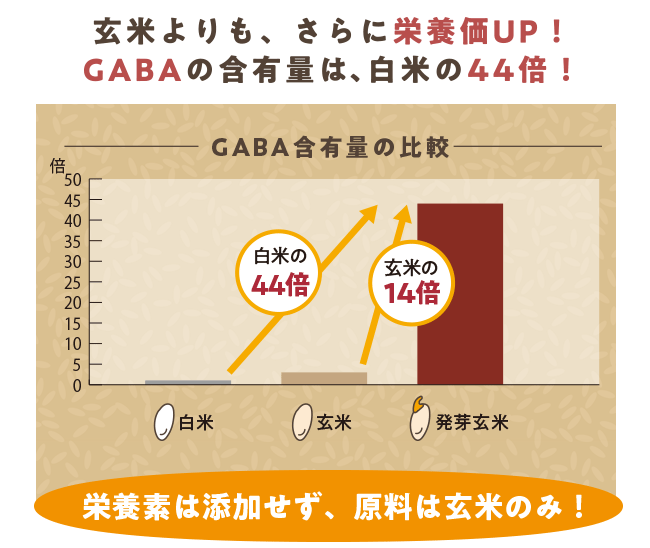 玄米よりも、さらに栄養価UP！GABAの含有量は、白米の44倍！