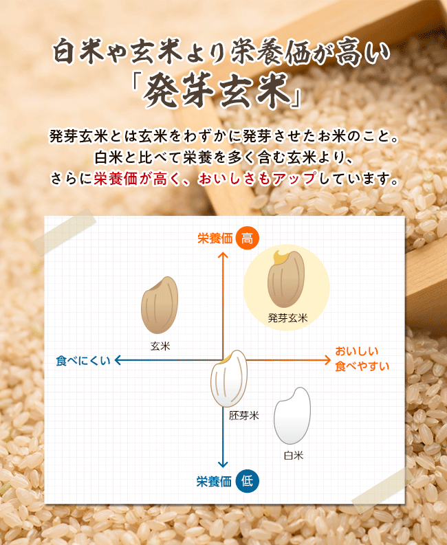 白米や玄米より栄養価が高い「発芽玄米」