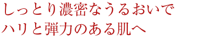 しっとり濃密なうるおいでハリと弾力のある肌へ