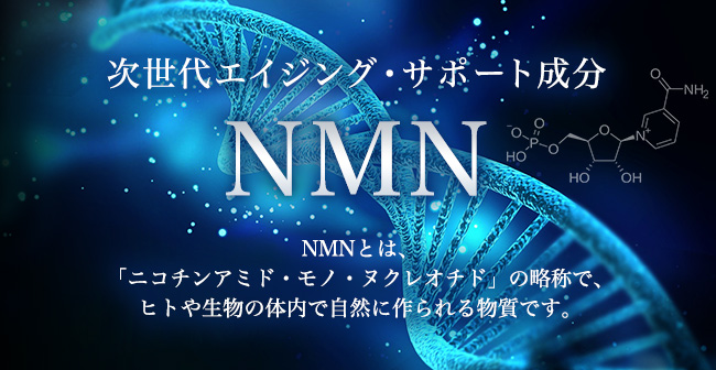 サプリメント/SBI BEST NMN(並び順：商品コード)5-ALA公式ショップ 