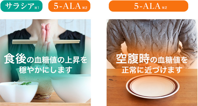 サプリメント/アラプラス 糖ダウン アラシア5-ALA公式ショップ【ALA ...
