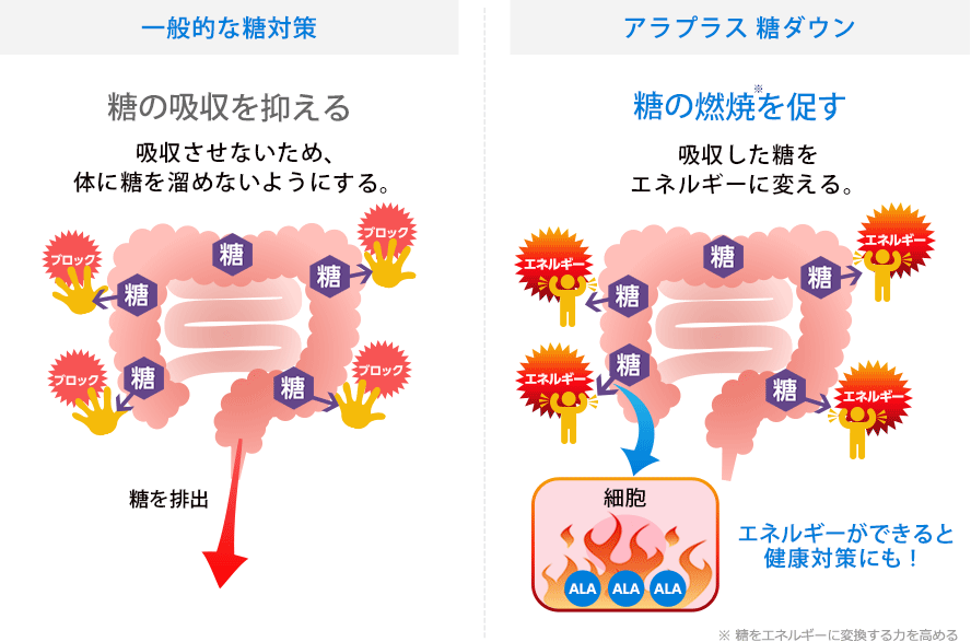 5 ala を 含む 食品