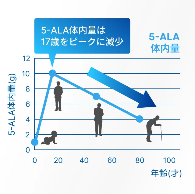 年齢とともに5-ALA体内量が減少する推移を示すグラフの図