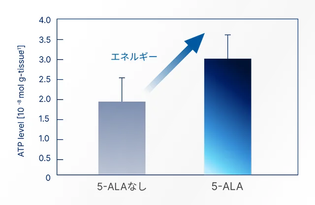 5-ALAの有無でATP量が増加する比較グラフの図