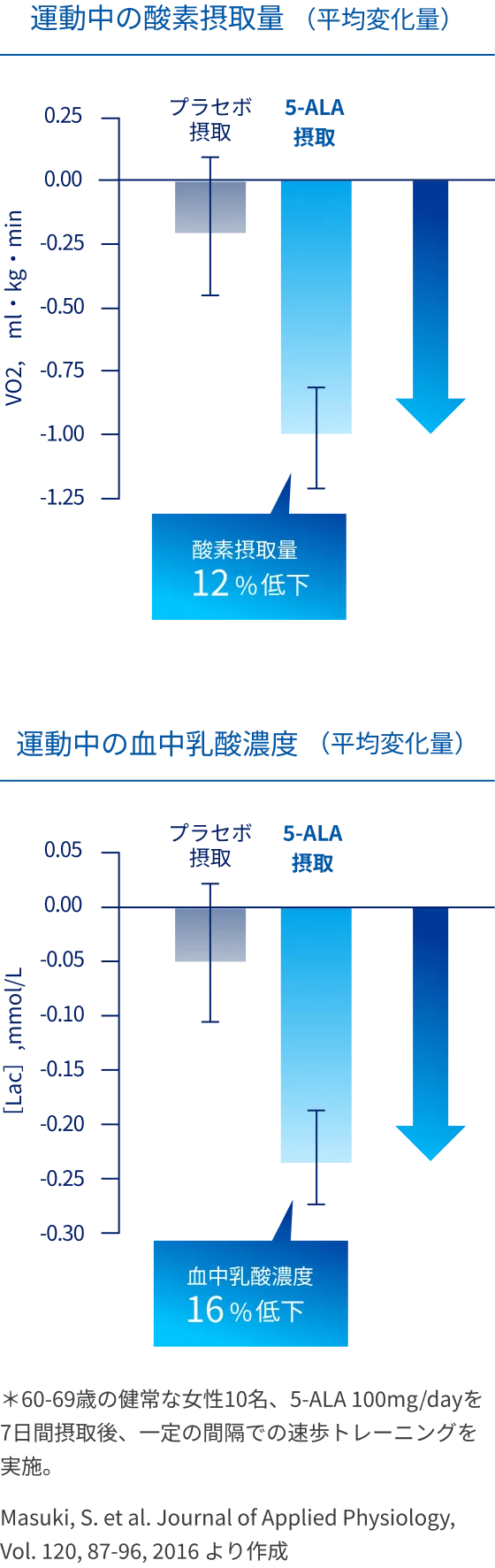 5-ALA摂取による運動中の酸素摂取量と血中乳酸低下を示す比較グラフの図